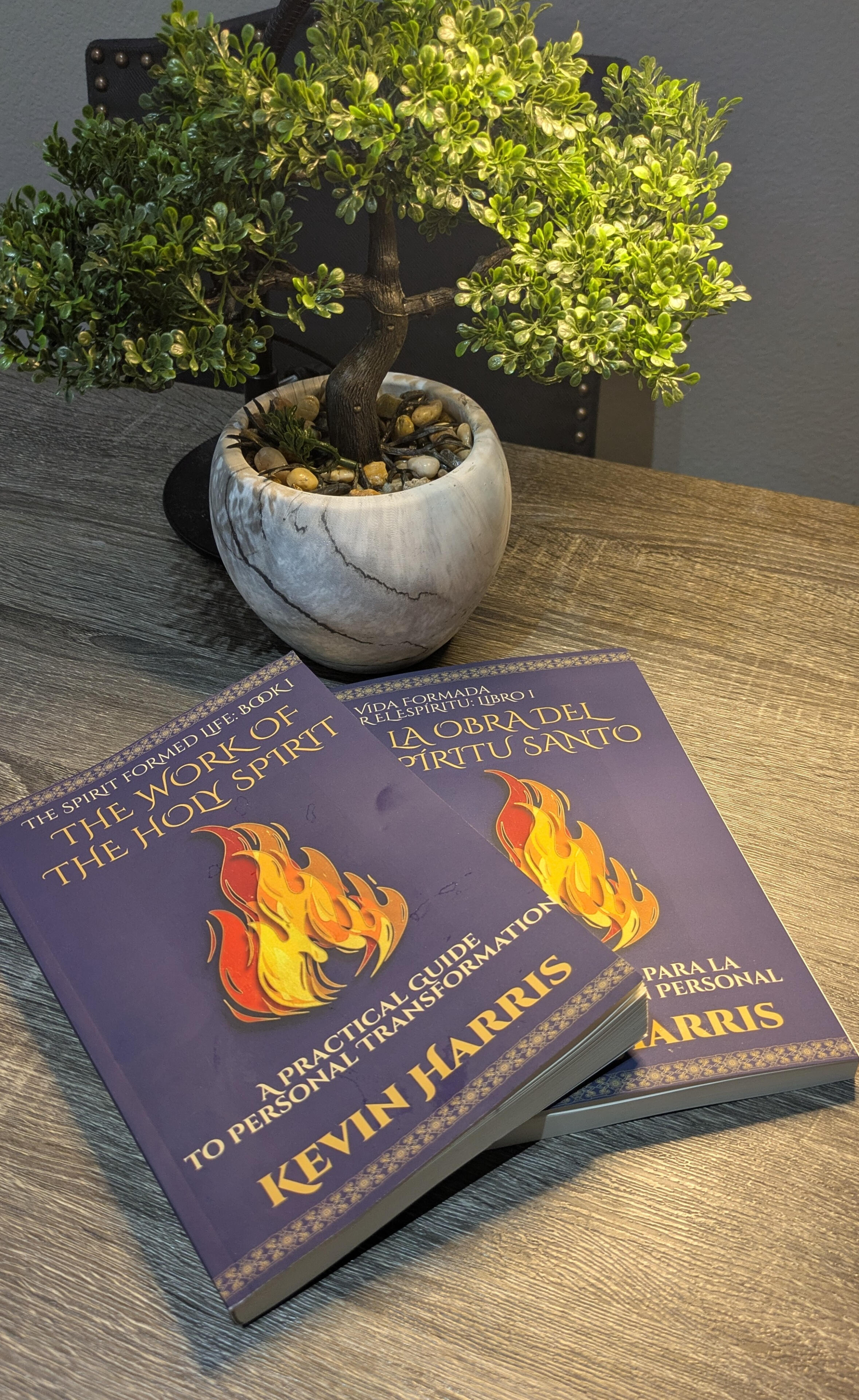 SFLseries.com Books Books on table with plant.